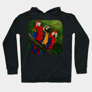 The Three Amigos Macaw Painting Hoodie